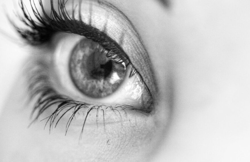 human eye